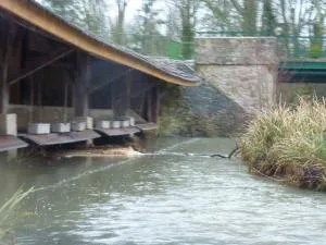 le lavoir d'Esternay
